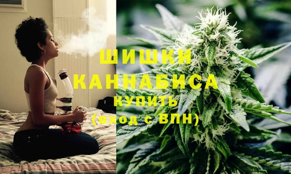 Альфа ПВП Няндома