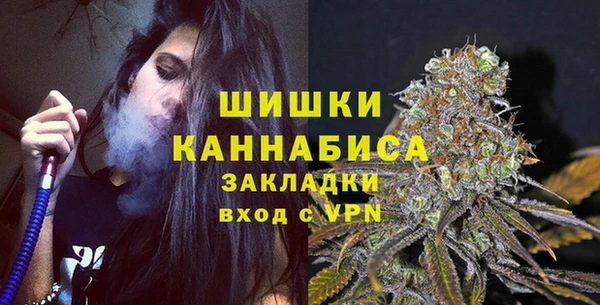 Альфа ПВП Няндома