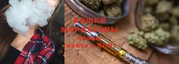 Альфа ПВП Няндома