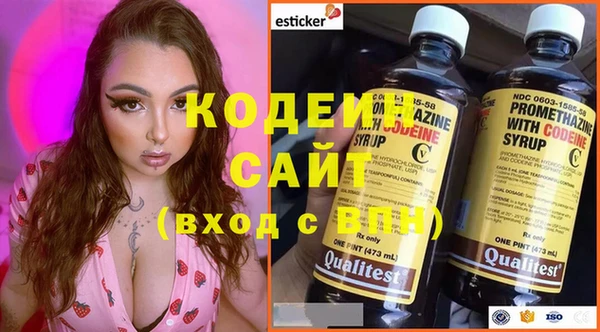 Альфа ПВП Няндома