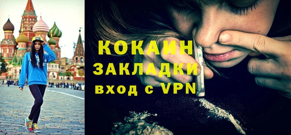 Альфа ПВП Няндома