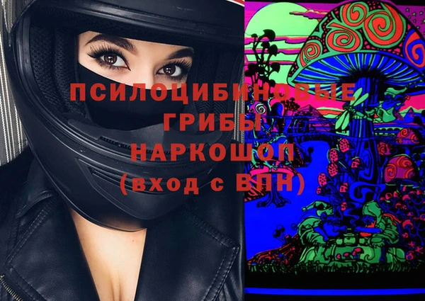 винт Билибино