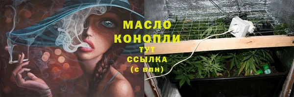 Альфа ПВП Няндома